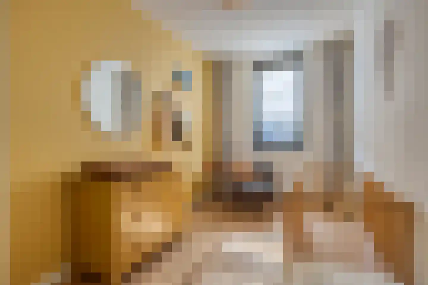 Douglashout 110 Eindhoven thumbnail 31