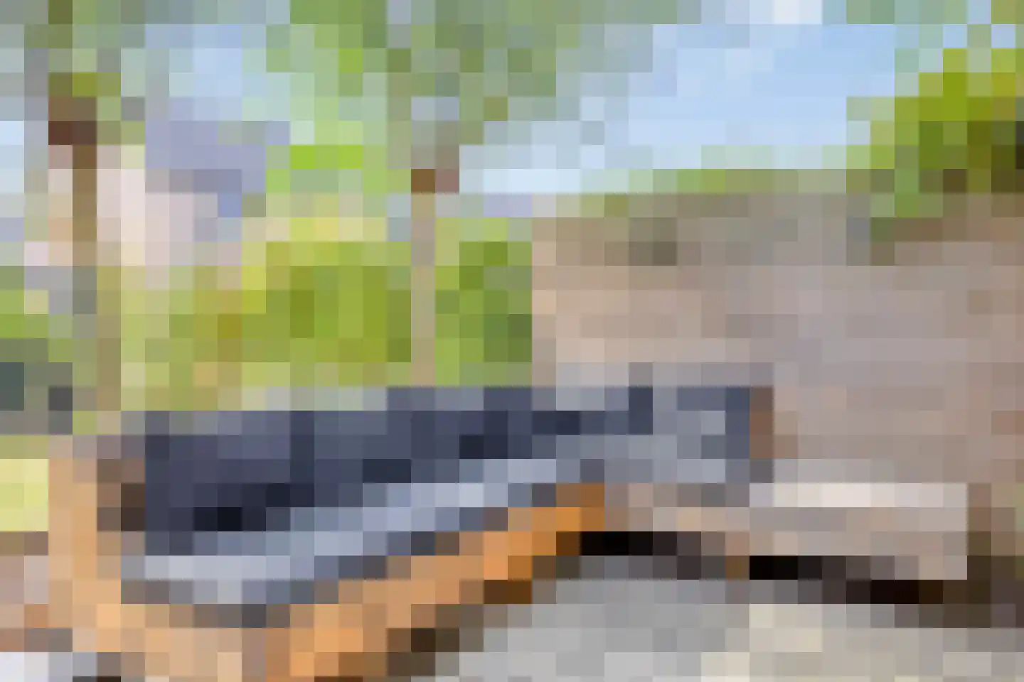 Douglashout 110 Eindhoven thumbnail 35
