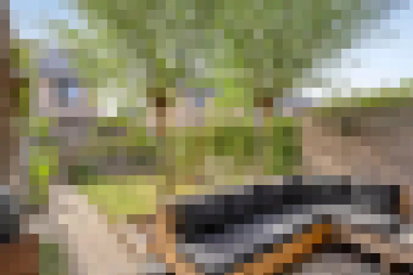 Douglashout 110 Eindhoven thumbnail 36