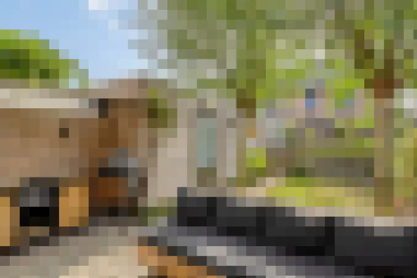 Douglashout 110 Eindhoven thumbnail 37