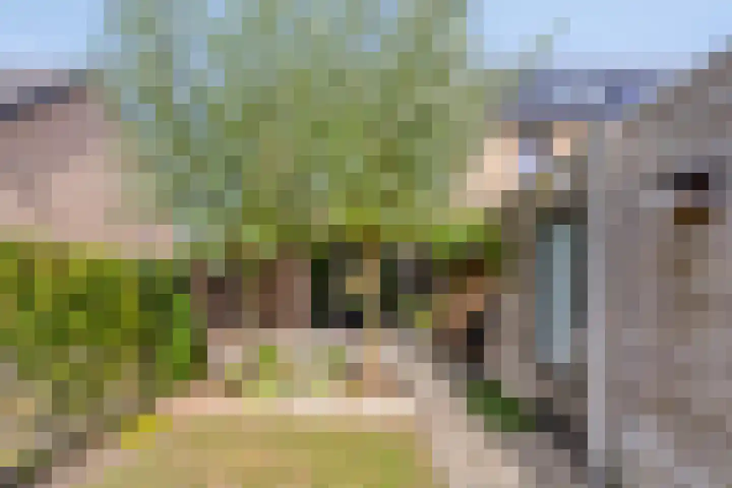Douglashout 110 Eindhoven thumbnail 38