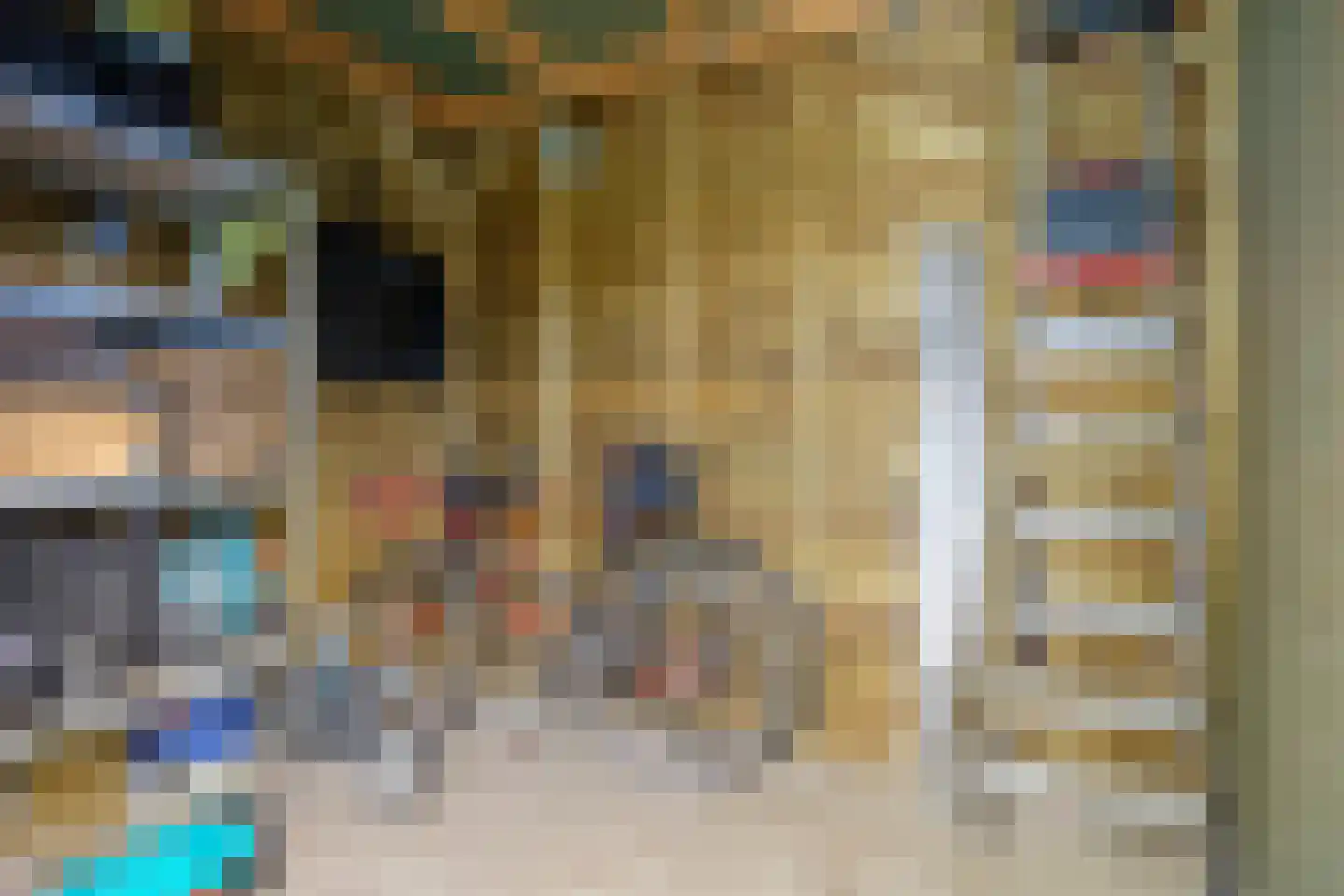 Douglashout 110 Eindhoven thumbnail 39