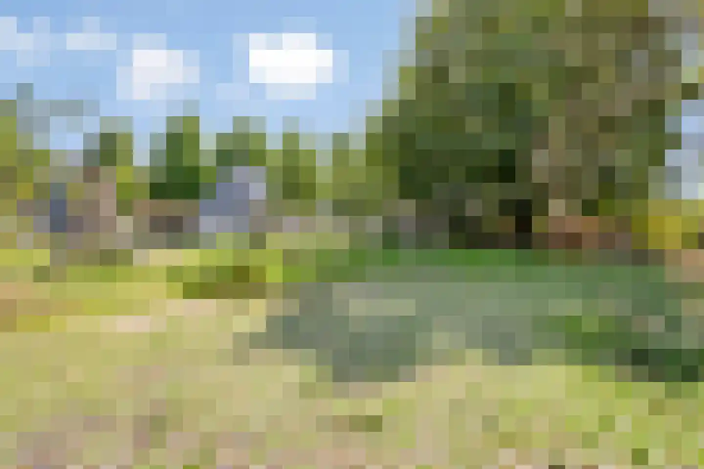 Douglashout 110 Eindhoven thumbnail 46