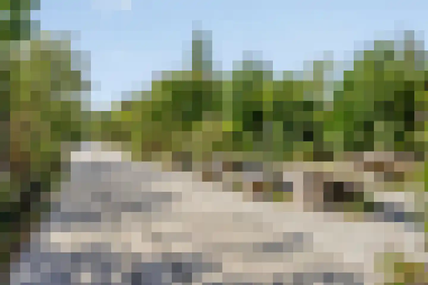 Douglashout 110 Eindhoven thumbnail 47