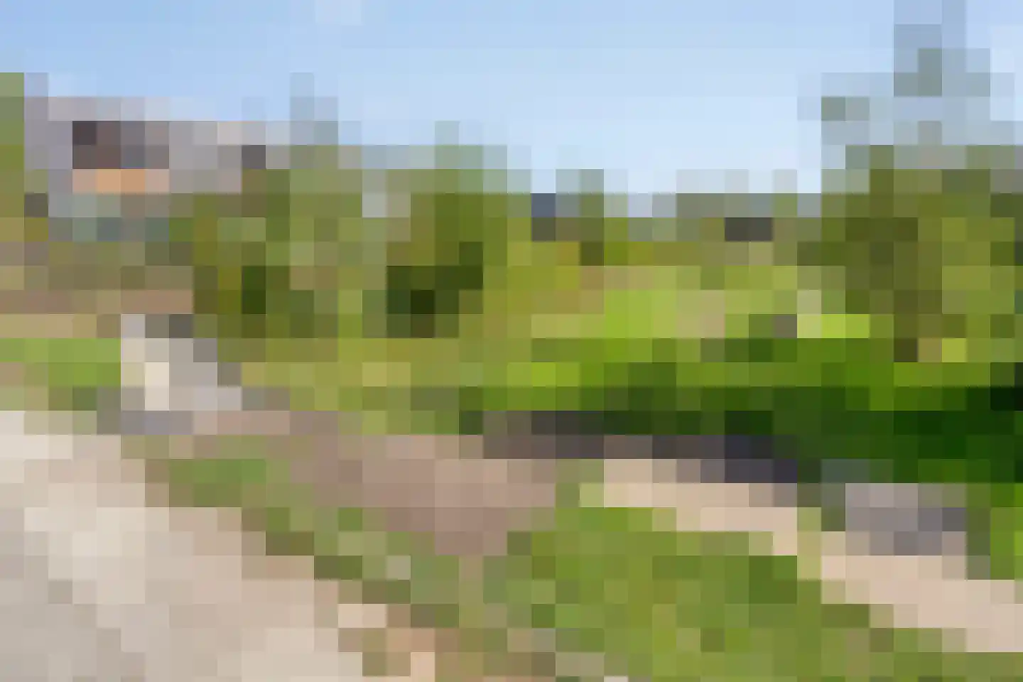 Douglashout 110 Eindhoven thumbnail 48