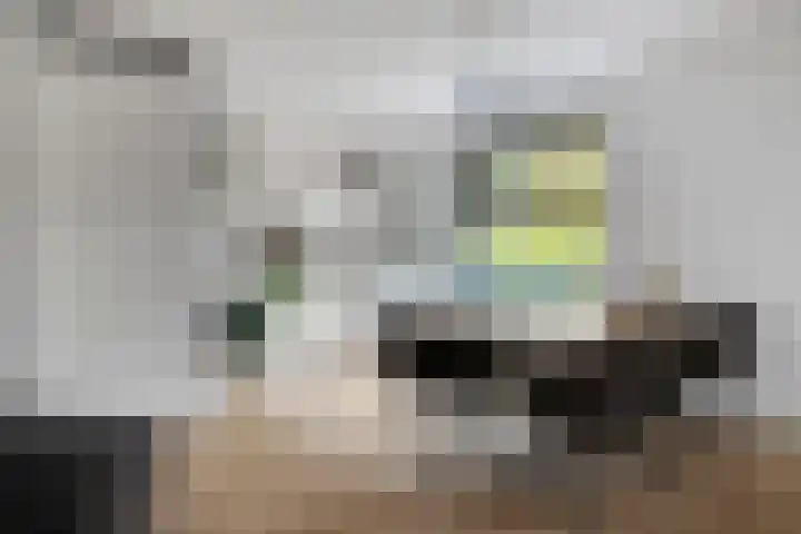Douglashout 116 Eindhoven thumbnail 11