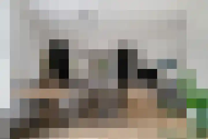 Douglashout 116 Eindhoven thumbnail 12