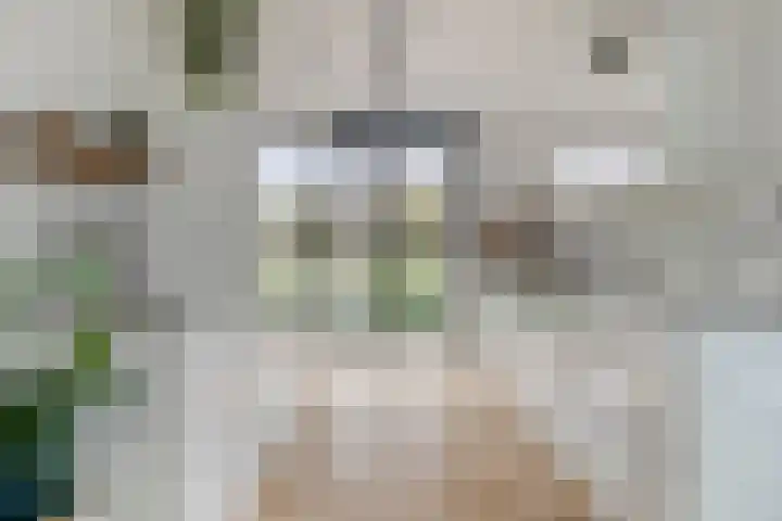 Douglashout 116 Eindhoven thumbnail 13