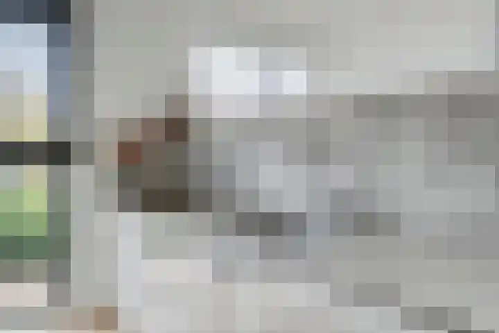 Douglashout 116 Eindhoven thumbnail 14