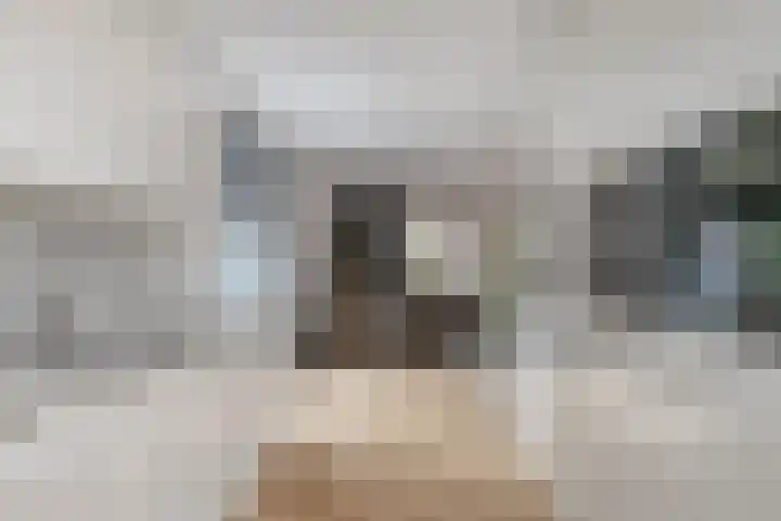 Douglashout 116 Eindhoven thumbnail 15
