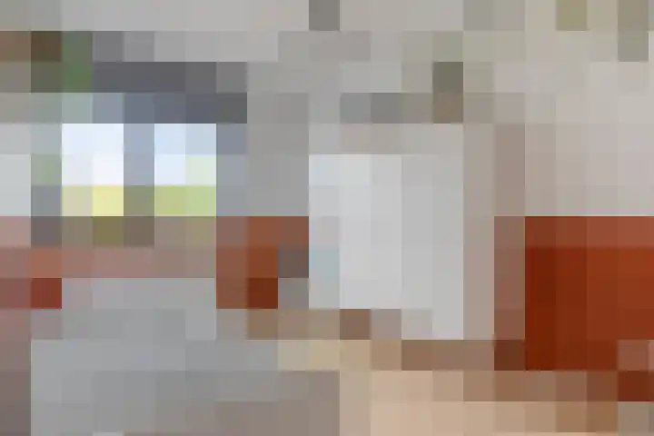 Douglashout 116 Eindhoven thumbnail 20