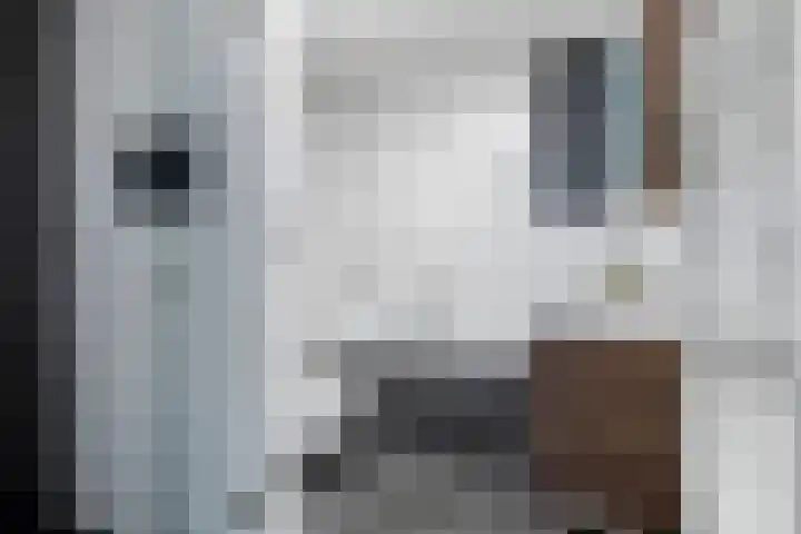 Douglashout 116 Eindhoven thumbnail 22