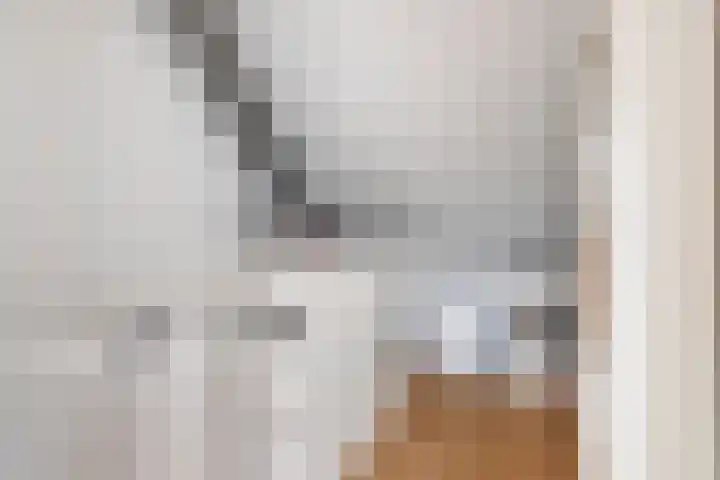 Douglashout 116 Eindhoven thumbnail 26