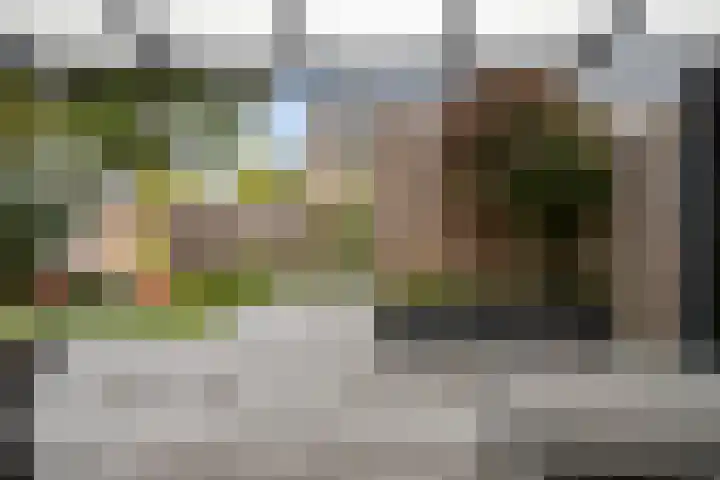 Douglashout 116 Eindhoven thumbnail 30