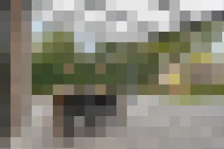 Douglashout 116 Eindhoven thumbnail 31