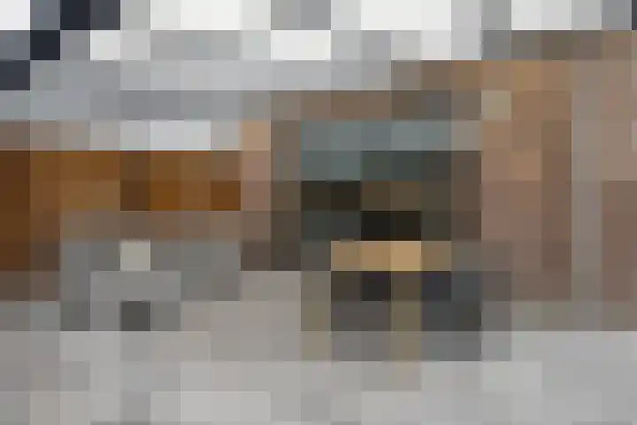 Douglashout 116 Eindhoven thumbnail 32