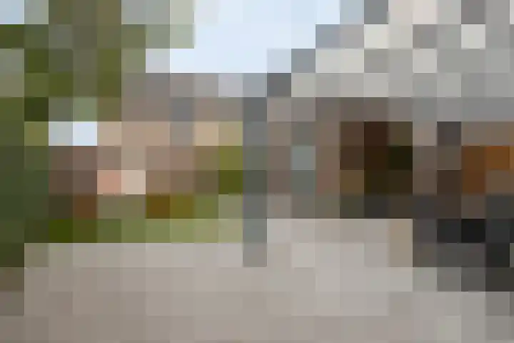 Douglashout 116 Eindhoven thumbnail 33