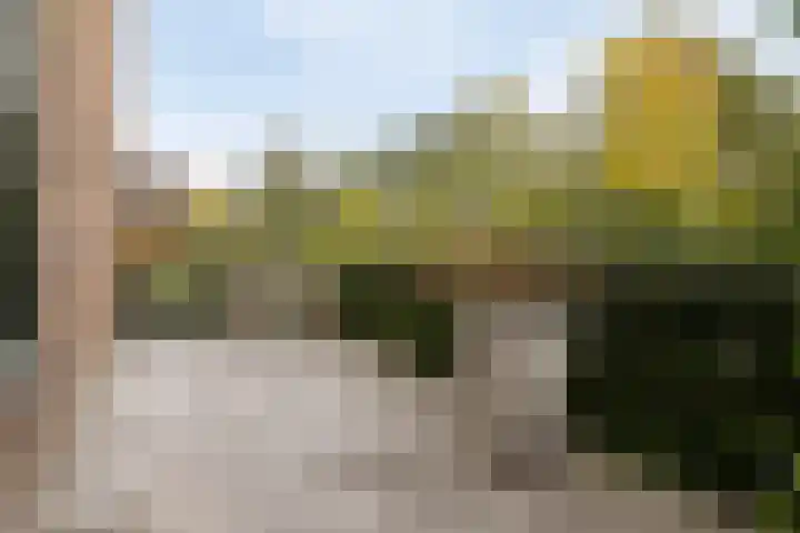 Douglashout 116 Eindhoven thumbnail 34