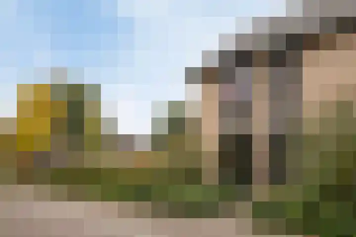 Douglashout 116 Eindhoven thumbnail 36