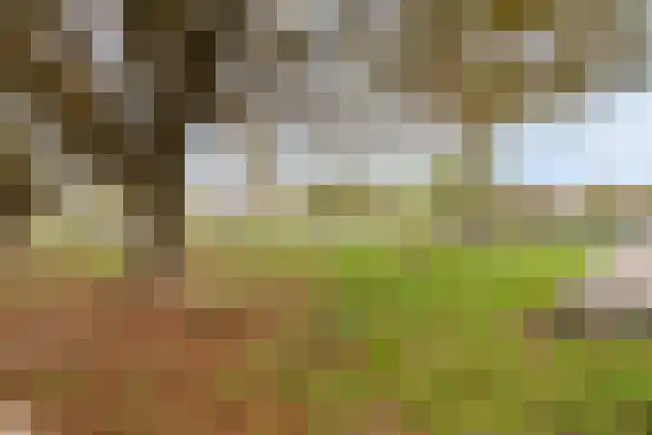 Douglashout 116 Eindhoven thumbnail 38