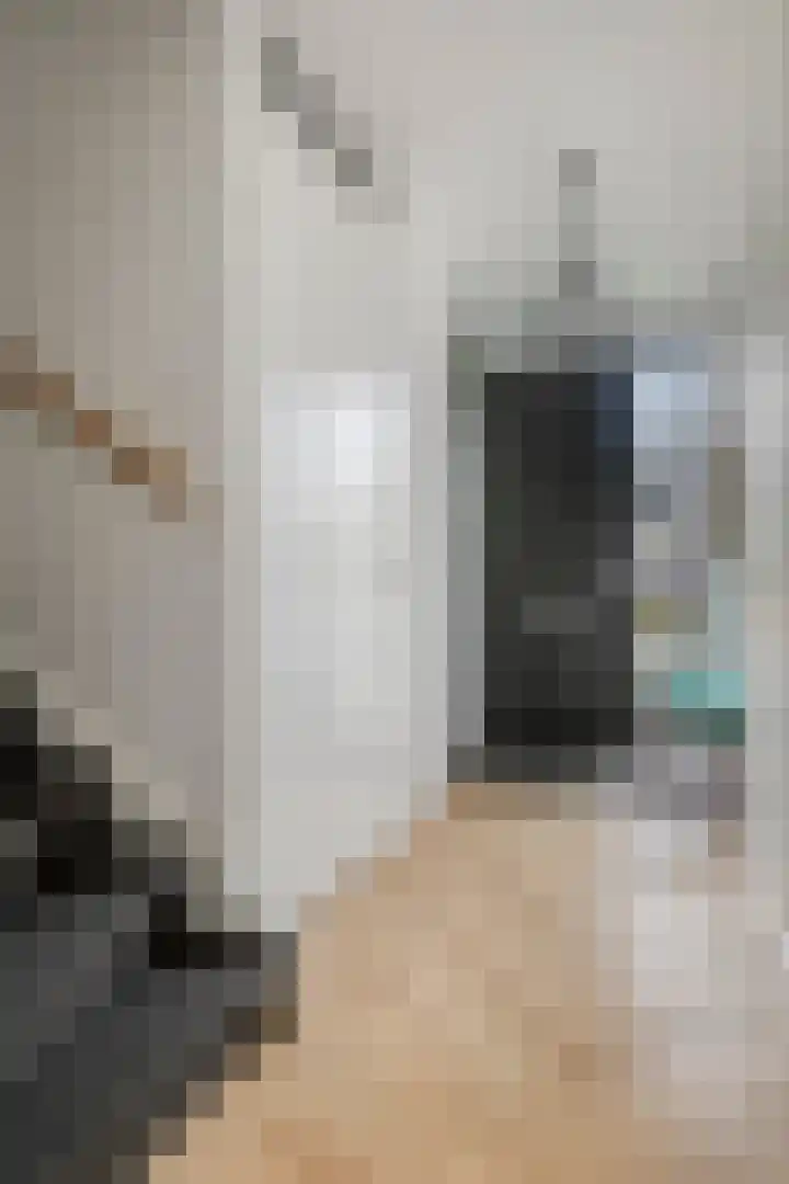 Douglashout 116 Eindhoven thumbnail 4