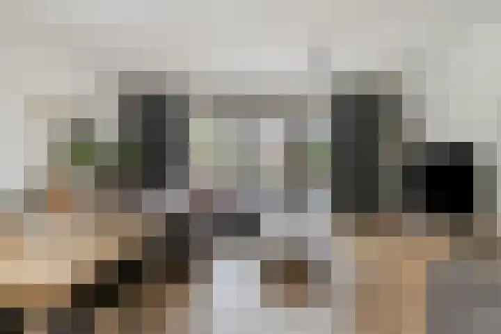 Douglashout 116 Eindhoven thumbnail 6