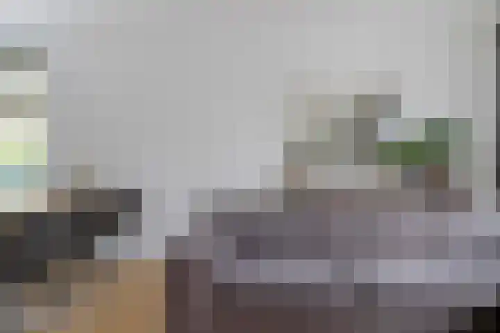 Douglashout 116 Eindhoven thumbnail 8