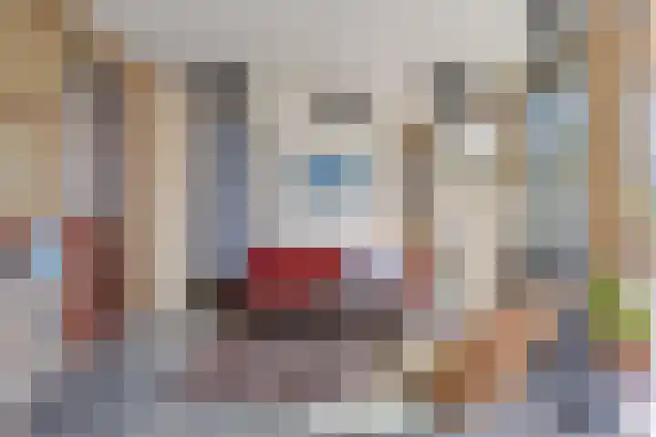 Douglashout 130 Eindhoven thumbnail 10