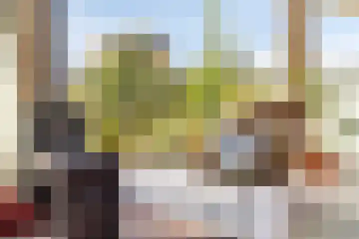 Douglashout 130 Eindhoven thumbnail 13