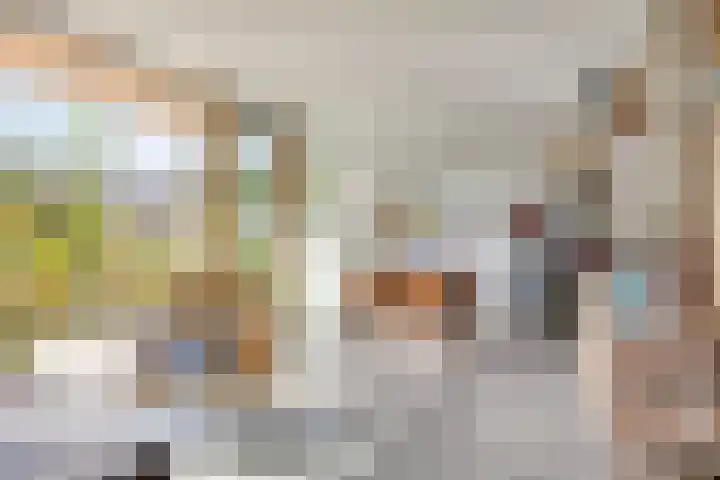 Douglashout 130 Eindhoven thumbnail 16