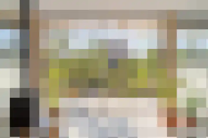 Douglashout 130 Eindhoven thumbnail 17