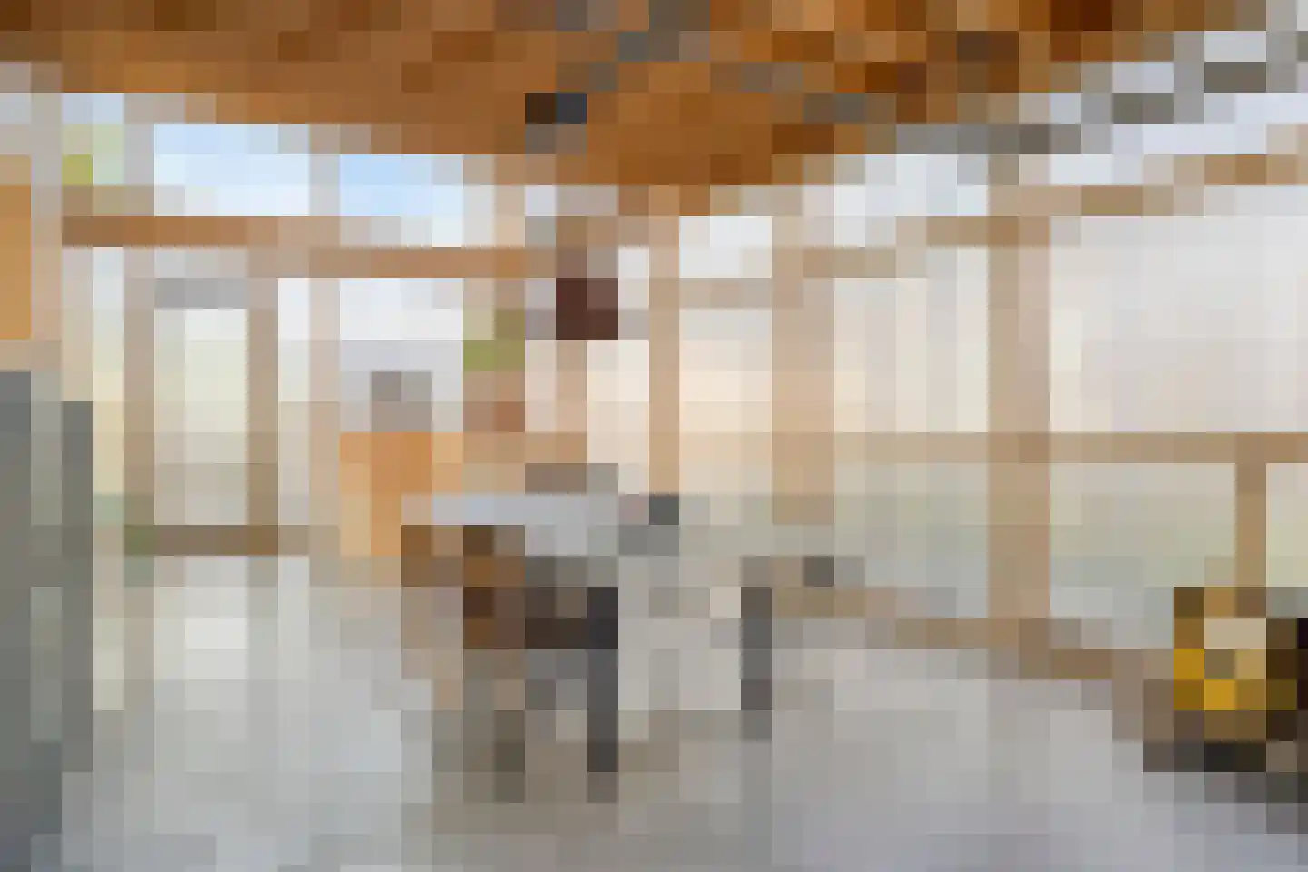 Douglashout 130 Eindhoven thumbnail 25