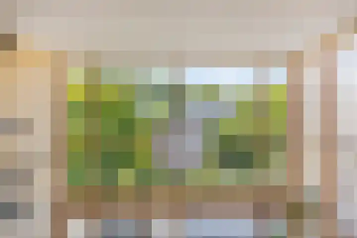 Douglashout 130 Eindhoven thumbnail 29