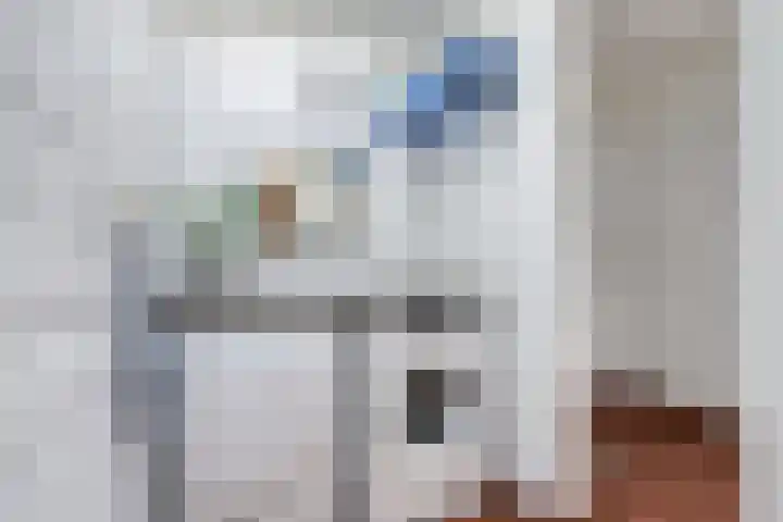 Douglashout 130 Eindhoven thumbnail 33