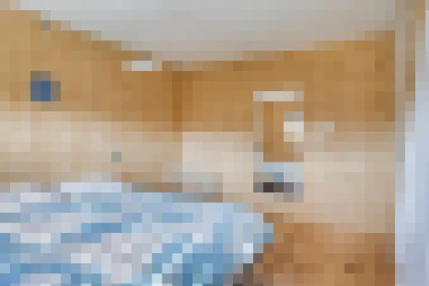 Douglashout 130 Eindhoven thumbnail 36