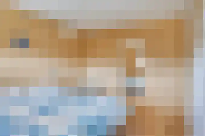 Douglashout 130 Eindhoven thumbnail 36