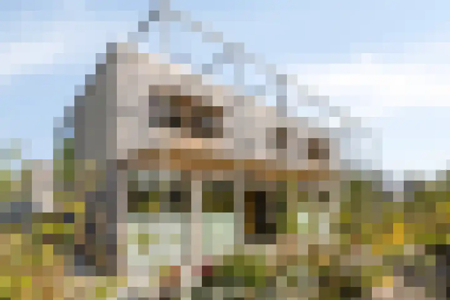 Douglashout 130 Eindhoven thumbnail 39