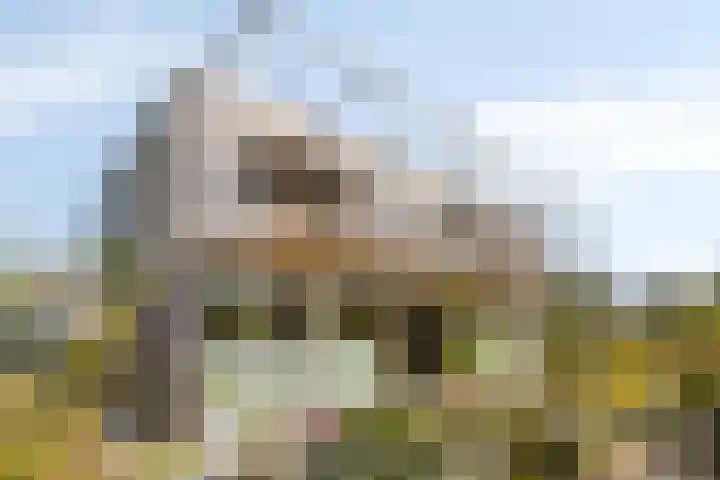 Douglashout 130 Eindhoven thumbnail 39