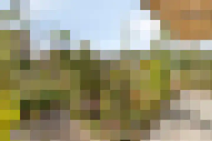Douglashout 130 Eindhoven thumbnail 40