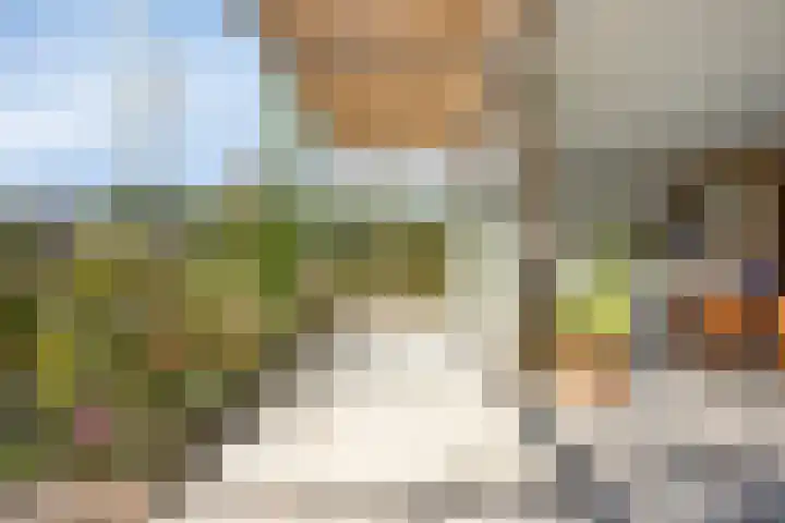 Douglashout 130 Eindhoven thumbnail 41