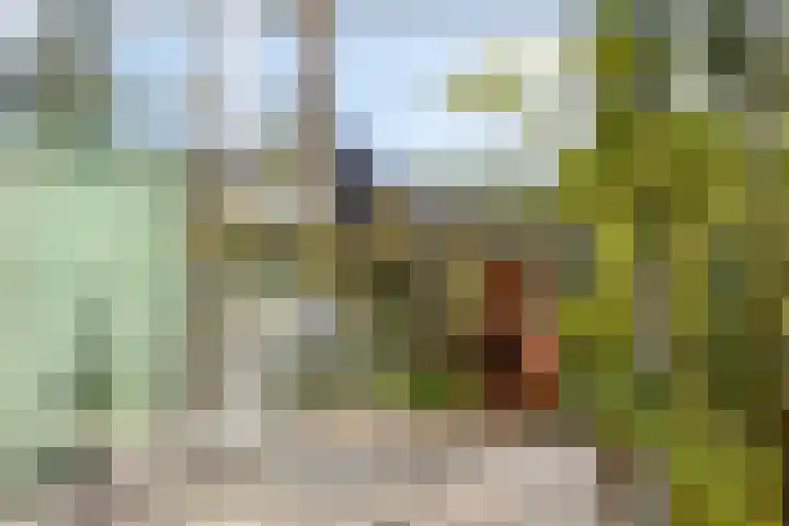 Douglashout 130 Eindhoven thumbnail 43