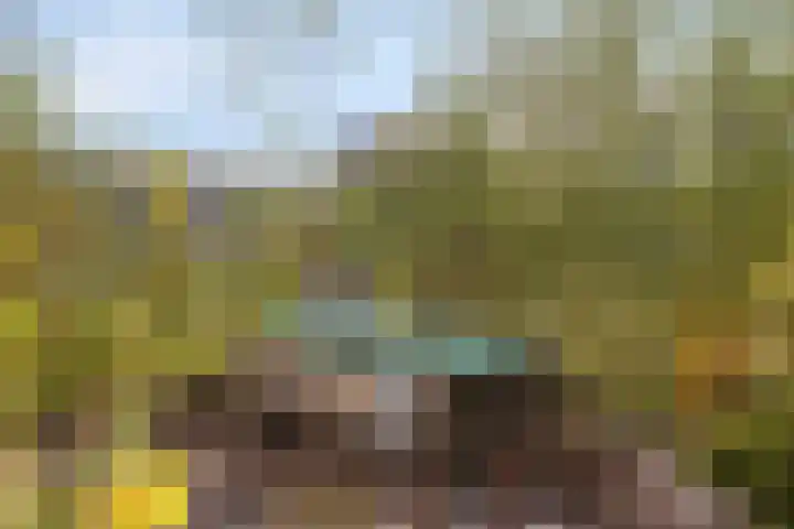 Douglashout 130 Eindhoven thumbnail 44