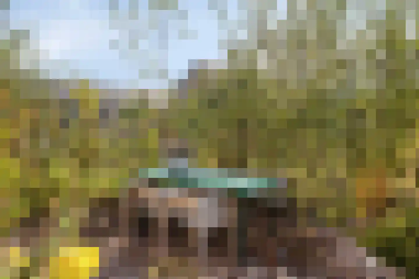 Douglashout 130 Eindhoven thumbnail 44