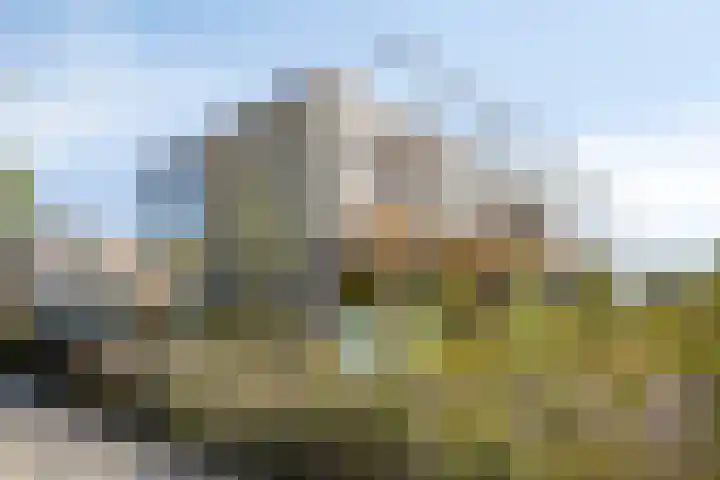 Douglashout 130 Eindhoven thumbnail 45