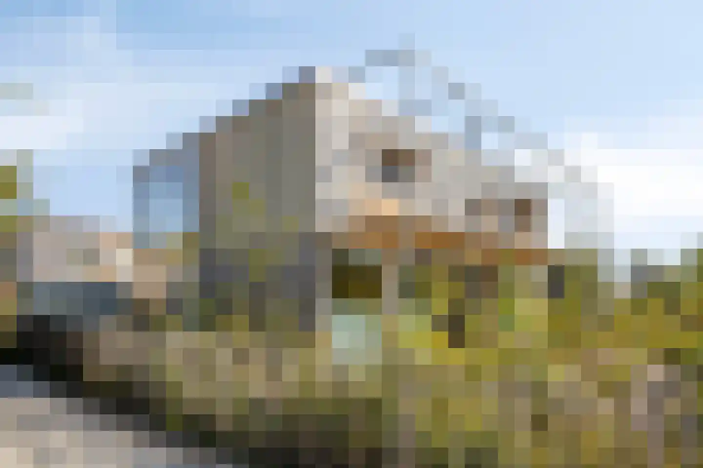 Douglashout 130 Eindhoven thumbnail 45