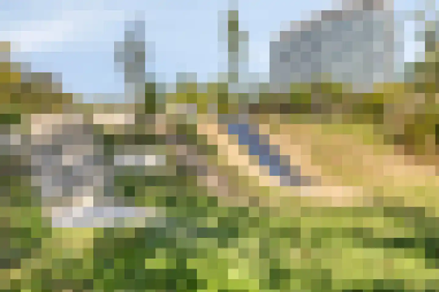 Douglashout 130 Eindhoven thumbnail 47