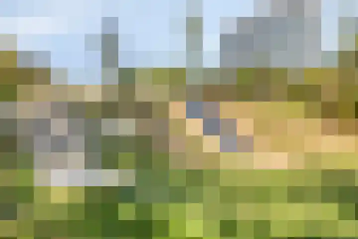 Douglashout 130 Eindhoven thumbnail 47