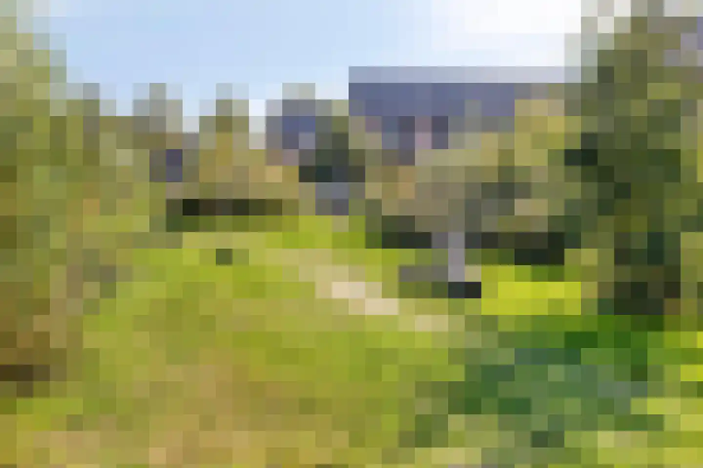 Douglashout 130 Eindhoven thumbnail 49