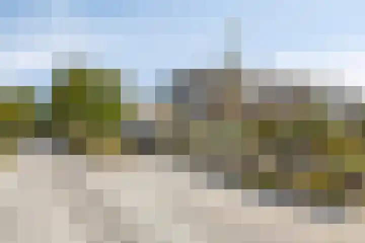 Douglashout 130 Eindhoven thumbnail 6