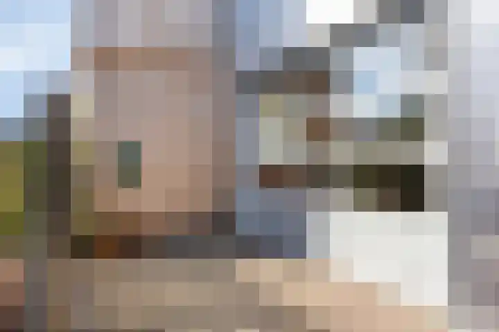 Douglashout 130 Eindhoven thumbnail 7